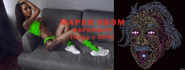 стафф Зерноград
