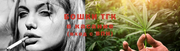 стафф Зерноград