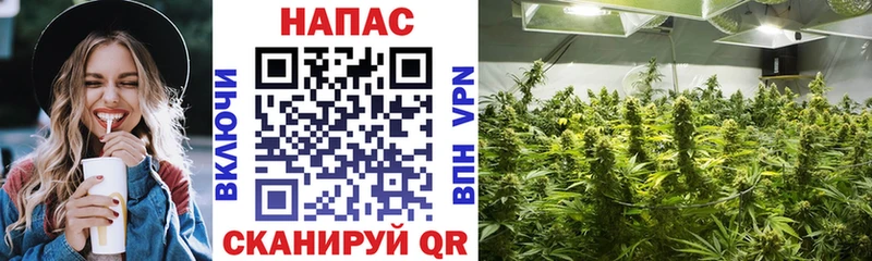 Бошки Шишки тримм  Купить  Рошаль 